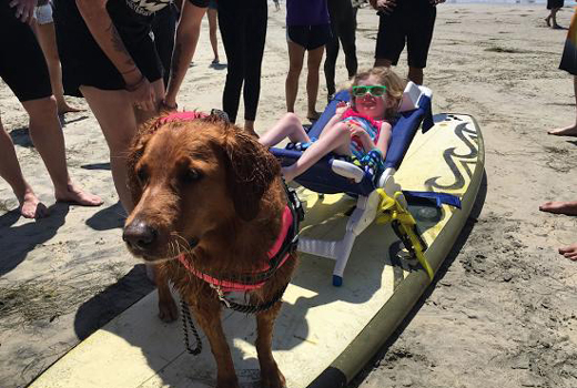 Surf Dog 2